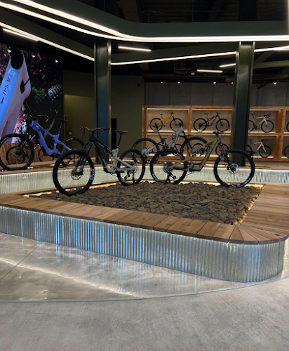 Ari Bicycles - Bentonville