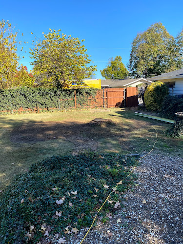 Axiom Tree Service