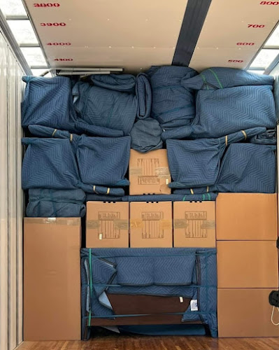 Bark & Box Moving