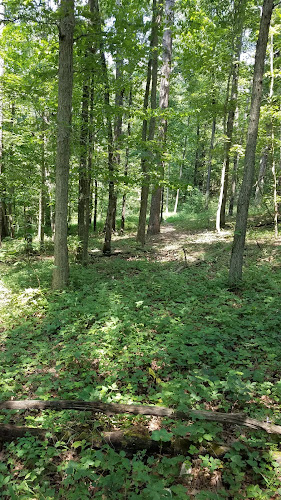 Townsend Ridge Trailhead