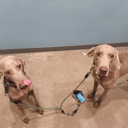 Animal Medical Center at Pinnacle Hills