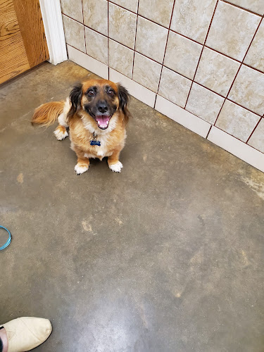 Faithful Friends Animal Clinic