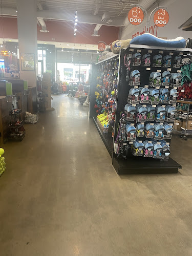 Petland Rogers 🐶