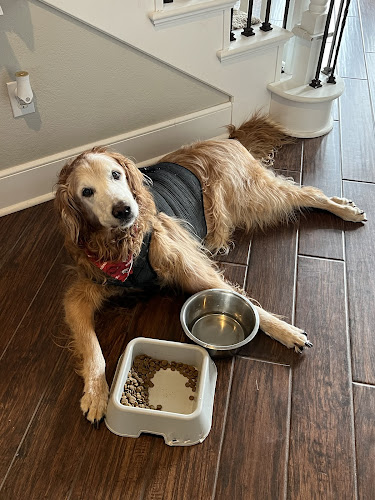 Vetco Total Care Animal Hospital