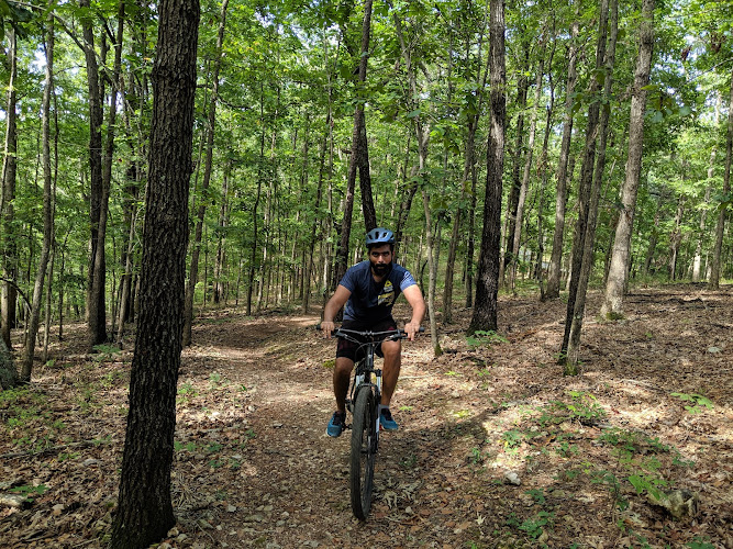 Hidden Diversity Trailhead