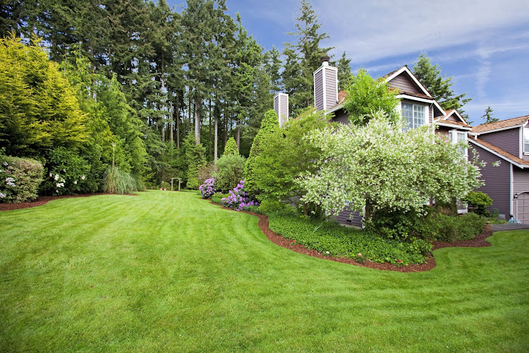 Kings Lawn Care