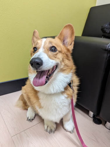 Northwest Arkansas Animal Urgent Care