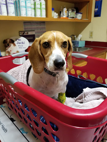Animal Emergency and Specialty Center of Northwest Arkansas