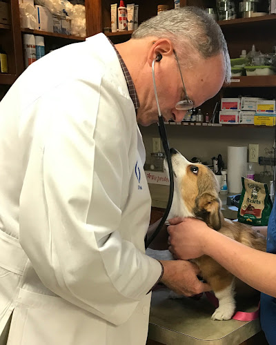 All Pets Animal Hospital (Bentonville)