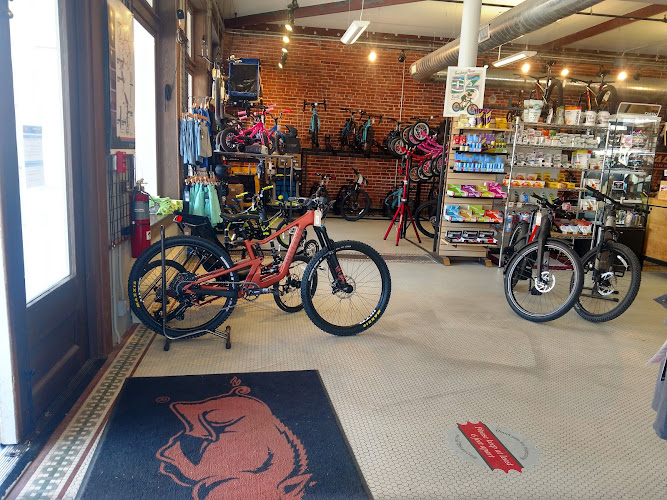 Phat Tire Bike Shop