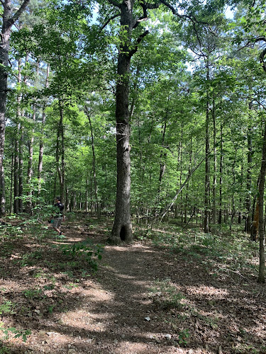 Pigeon Roost Trailhead