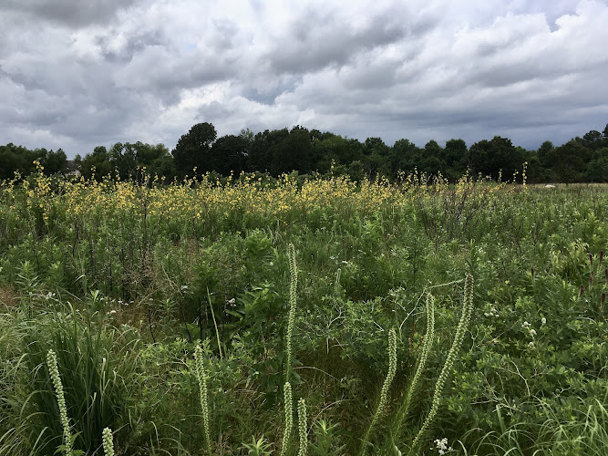 Searles Prairie Natural Area